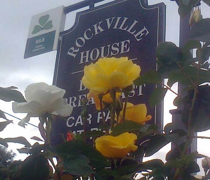 Rockville House B&B Cashel  Extérieur photo